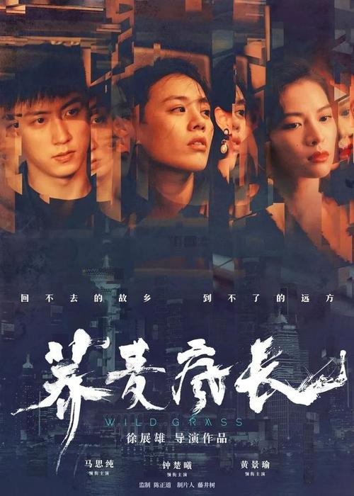 梵蒂冈驾驶证怎么制作